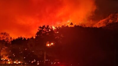 DALAMAN ORMAN YANGINI RÜZGARLA BİRLİKTE