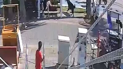 KURT KÖPEĞİNİN POLİSLERE SALDIRI ANININ