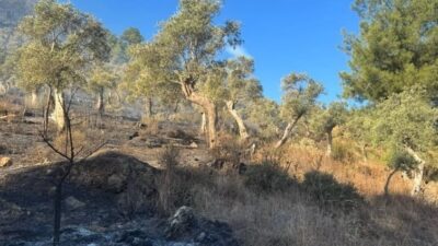 MİLAS ORMAN YANGINI KONTROL ALTINA