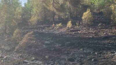 MUĞLA KÖYCEĞİZ YANGINI KONTROL ALTINA