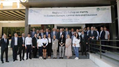 MUĞLA ORMAN BÖLGE MÜDÜRLÜĞÜ ULUSLARARASI