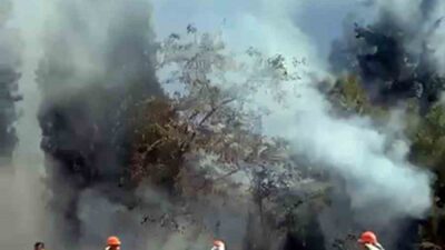 YATAĞAN-MİLAS KARAYOLUNDAKİ YANGIN KISA SÜREDE