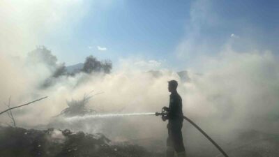 MUĞLA'NIN KÖYCEĞİZ İLÇESİNDE YOL KENARINDA