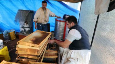 4 YILDIR PANDEMİ, ORMAN YANGINLARI