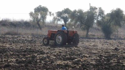 BODRUM BELEDİYESİ TARIMSAL HİZMETLER MÜDÜRLÜĞÜ,