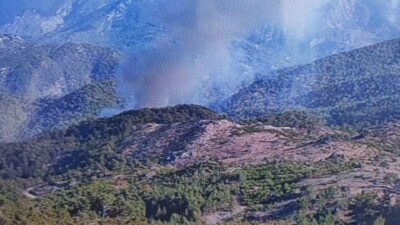 KÖYCEĞİZ'DE ORMAN YANGINI DEVAM EDİYOR