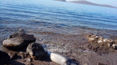 MUĞLA’NIN BODRUM İLÇESİNDE KUYRUĞUNDA YARASI