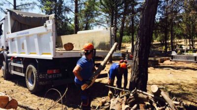 MUĞLA BÜYÜKŞEHİR BELEDİYESİ, İL GENELİNDEKİ