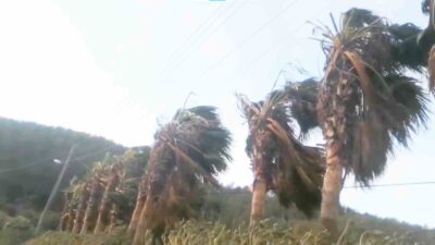 MUĞLA İÇİN FIRTINA UYARISI