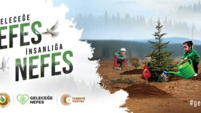 11 KASIM MİLLİ AĞAÇLANDIRMA GÜNÜ