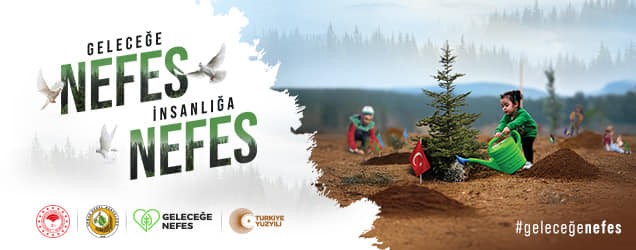 11 KASIM MİLLİ AĞAÇLANDIRMA