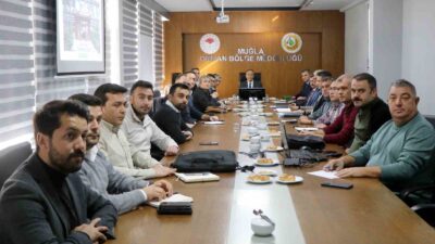 MUĞLA’DA ENERJİ NAKİL HATLARI KAYNAKLI