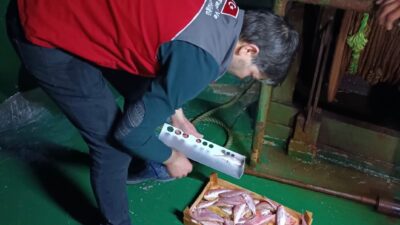 MUĞLA’DA SU ÜRÜNLERİ AV YASAĞI