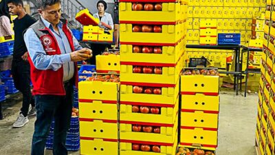 ORTACA’DA ÜRETİLEN ÜRÜNLER TÜM DÜNYAYA