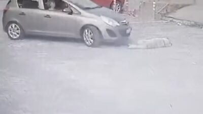 MUĞLA'NIN BODRUM İLÇESİNDE BİR SÜRÜCÜNÜN