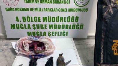 YASADIŞI AVCILIĞA 23 BİN TL