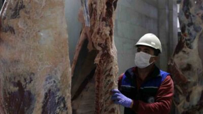 MUĞLA BÜYÜKŞEHİR BELEDİYESİ’NE AİT MEZBAHA