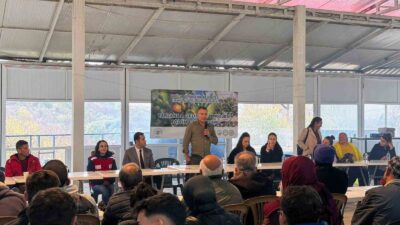 MUĞLA BÜYÜKŞEHİR BELEDİYESİ, DATÇA İLÇESİNDE