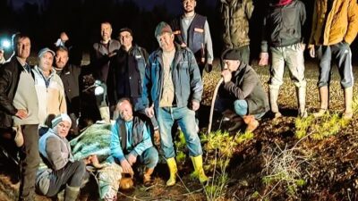 DENİZLİ’NİN ÇAL İLÇESİNDE AHIRDAN KAÇAN