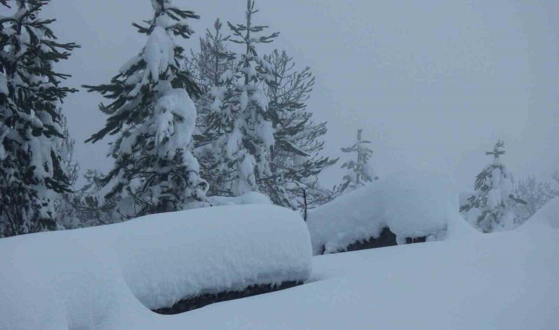 GÖKTEPE DAĞI KARPOSTALLIK MANZARALARA