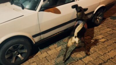 DENİZLİ’NİN ÇARDAK İLÇESİNDE İL JANDARMA