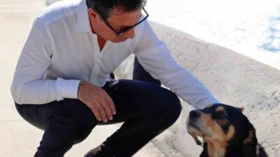 MUĞLA'DA 3 BİN 480 CAN