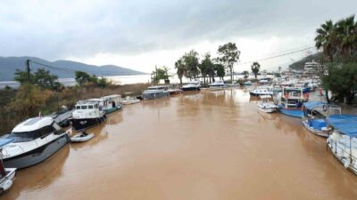 HER YIL BİNLERCE YERLİ VE