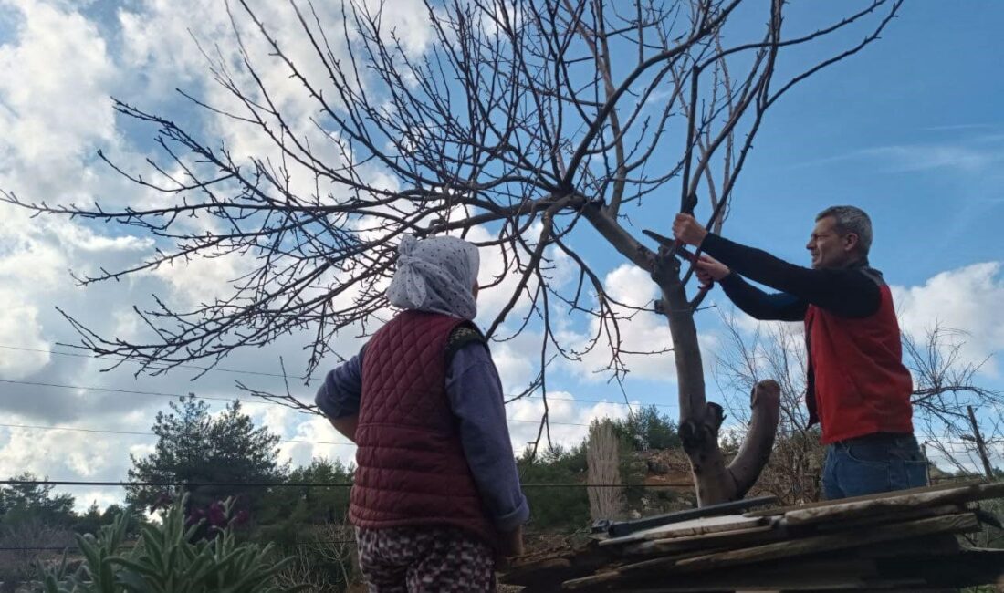 Menteşe İlçe Tarım ve