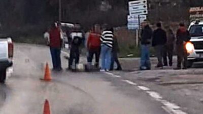 MUĞLA'NIN MİLAS İLÇESİNDE YOLUN YOLUN