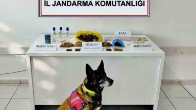 UYUŞTURUCU OPERASYONUNDA 2 GÖZALTI