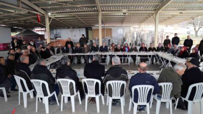 MUĞLA ORMAN BÖLGE MÜDÜRLÜĞÜNDE YAZ