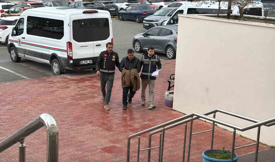 Muğla’nın Bodrum ilçesinde ağaç