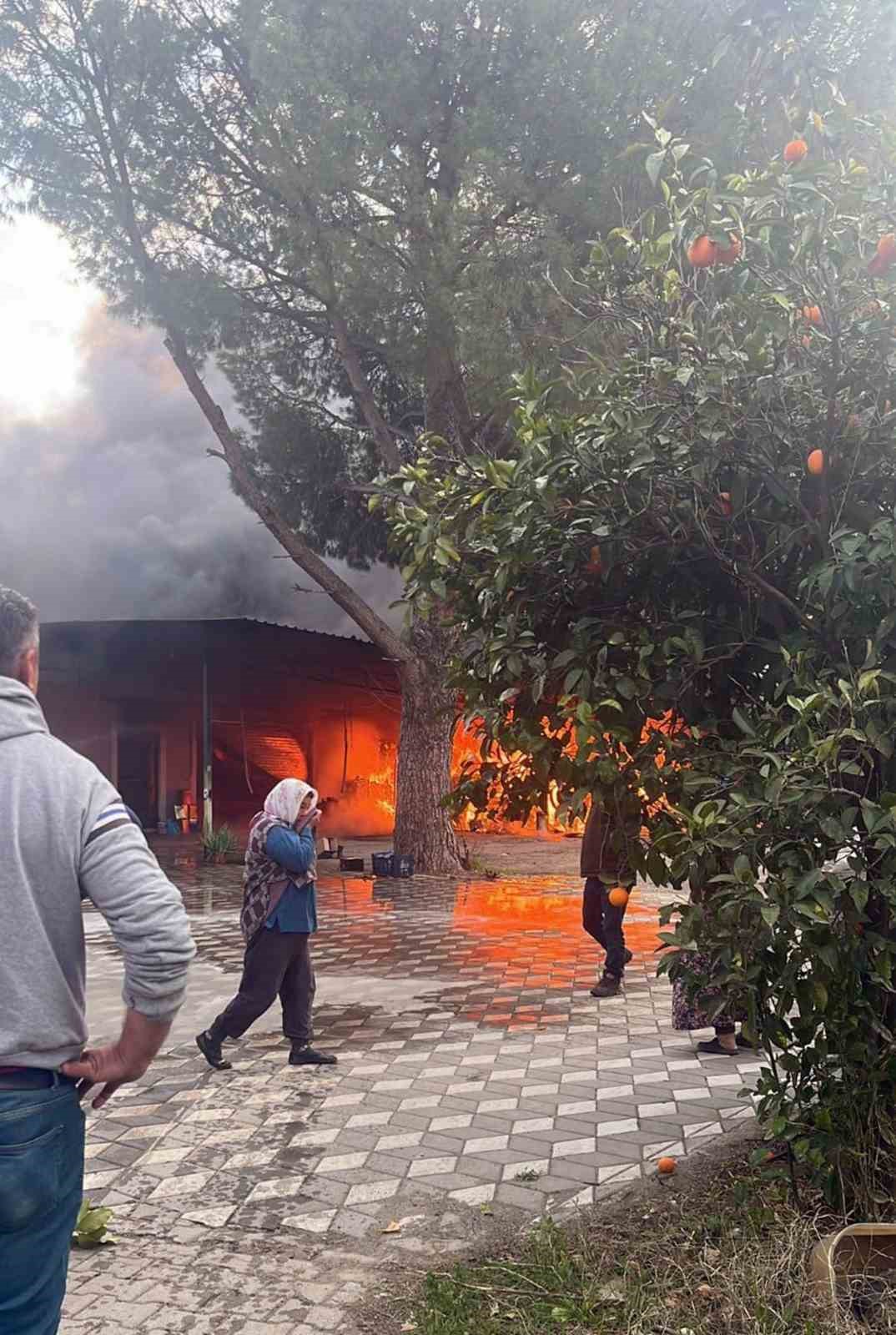 Arı ürünleri deposunda yangın