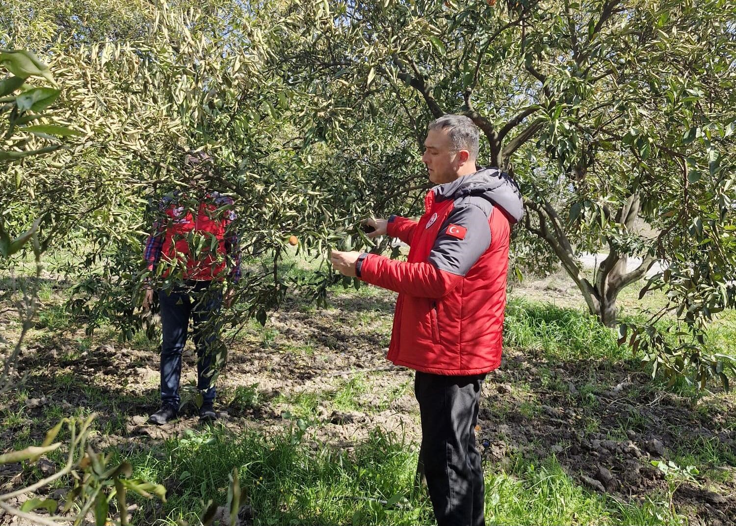 24 Şubat 2025 tarihinde