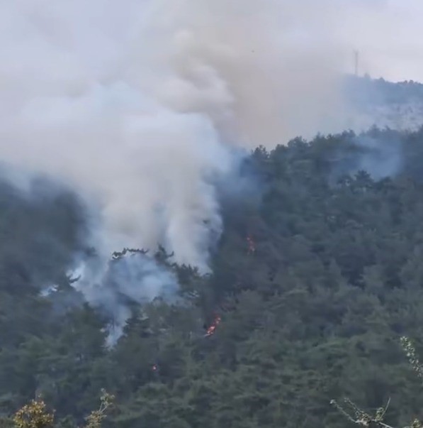 Muğla’nın Milas ilçesinde çıkan