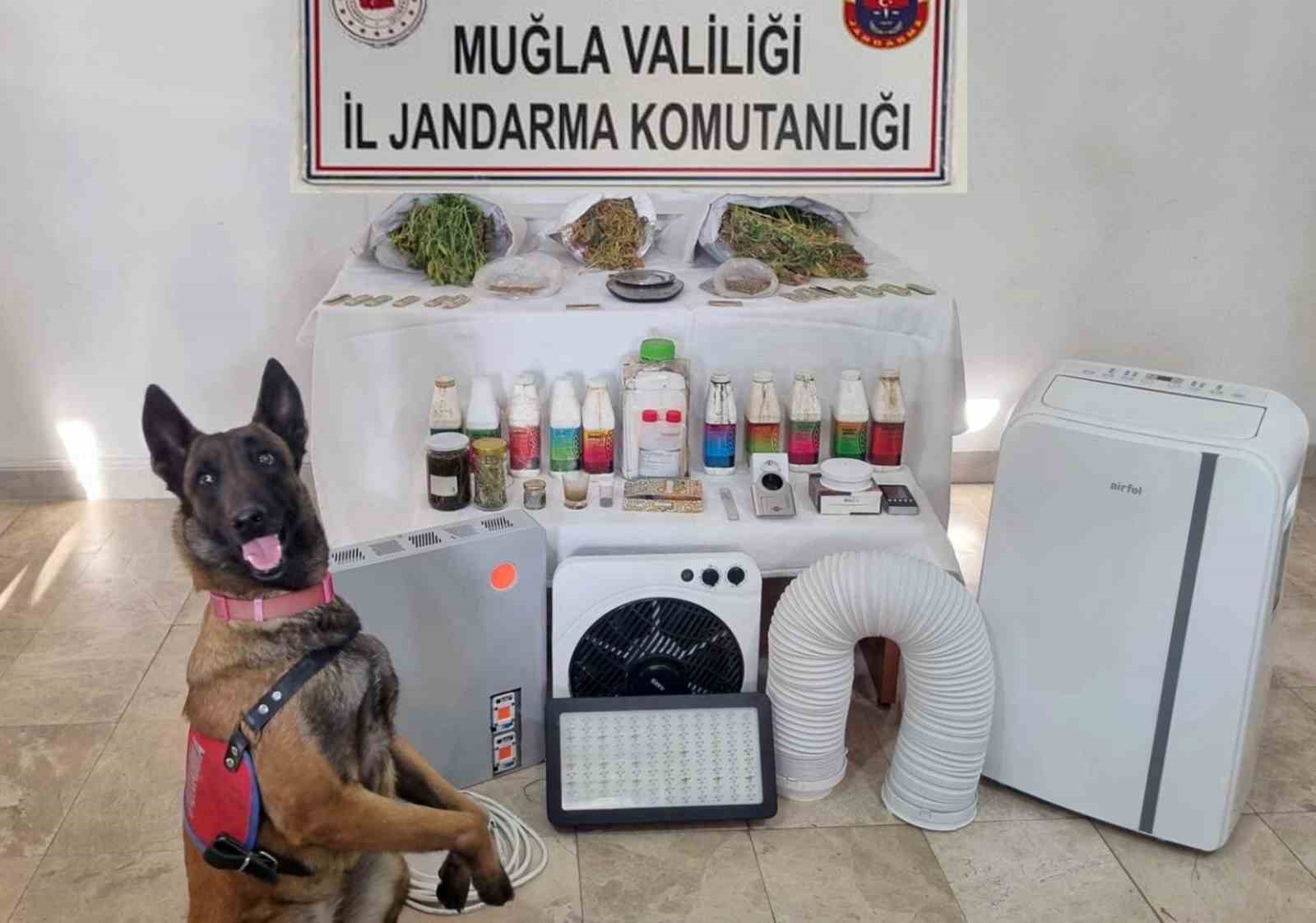 Muğla İl Jandarma Komutanlığı