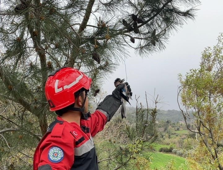 Muğla’nın Seydikemer ilçesinde yaralı