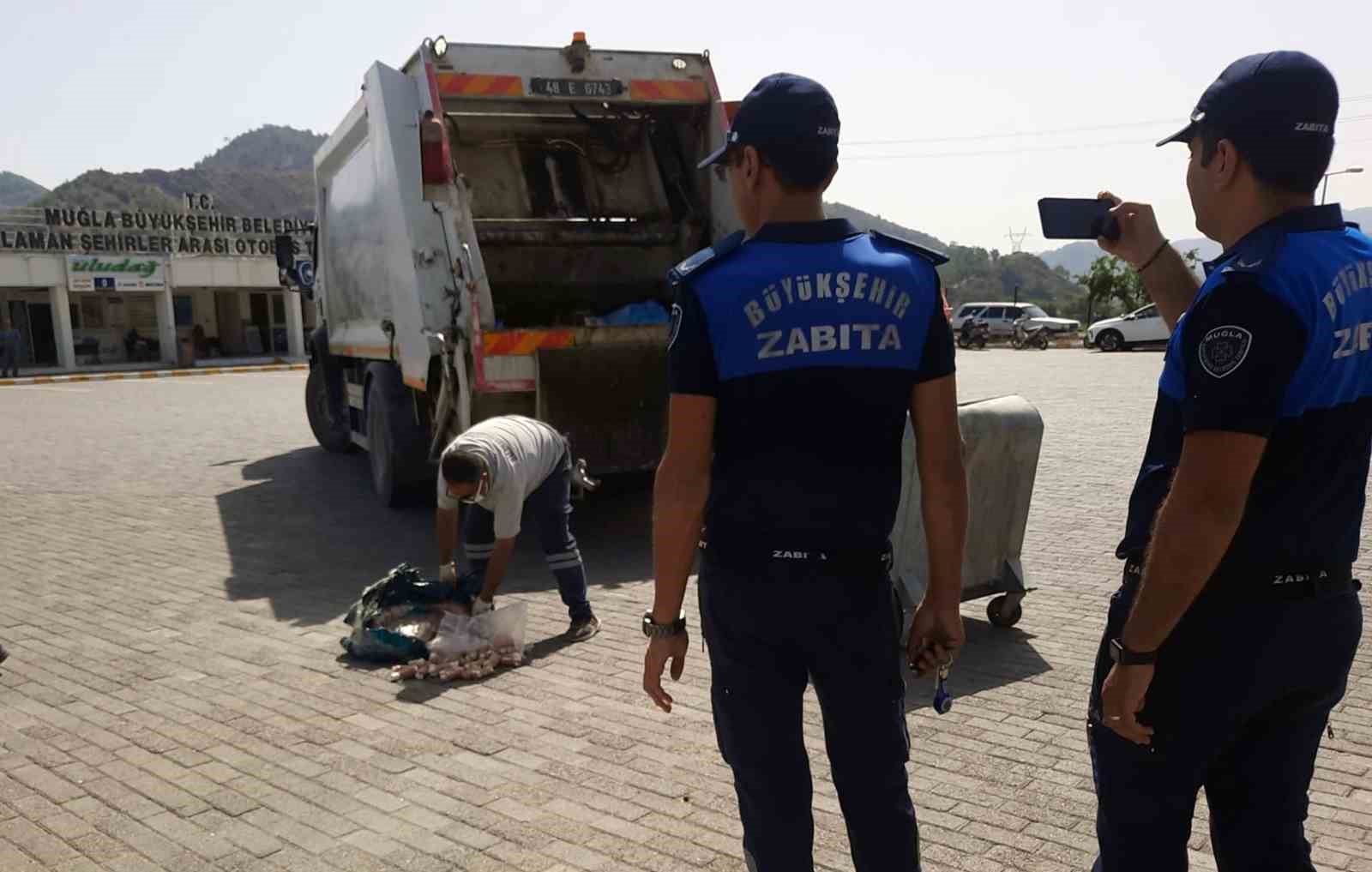 Zabıta denetimlerinde 2 bin 997 ürün satıştan men edildi Muğla Büyükşehir Belediyesi zabıta