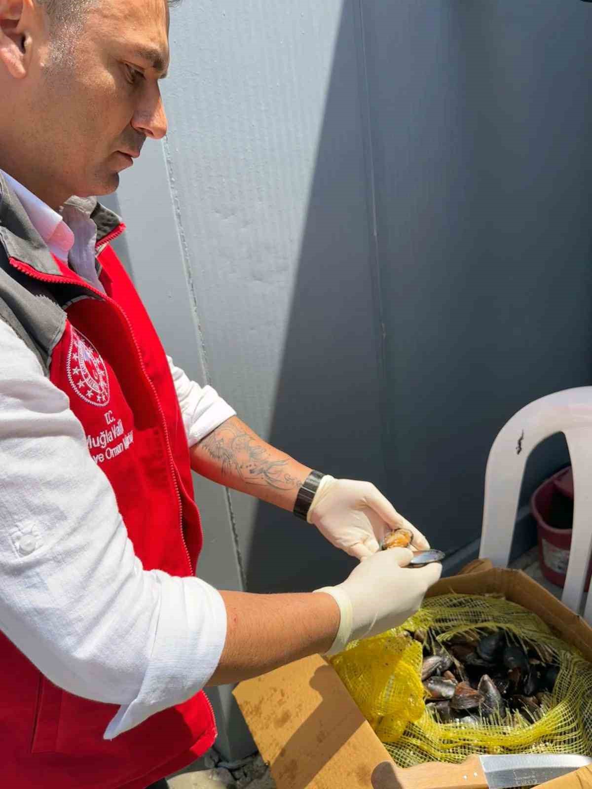 Muğla Büyükşehir Belediyesi Şehirler