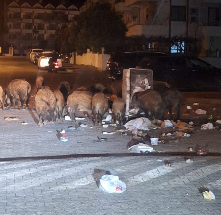 Muğla’nın Marmaris ilçesinde, zamanında