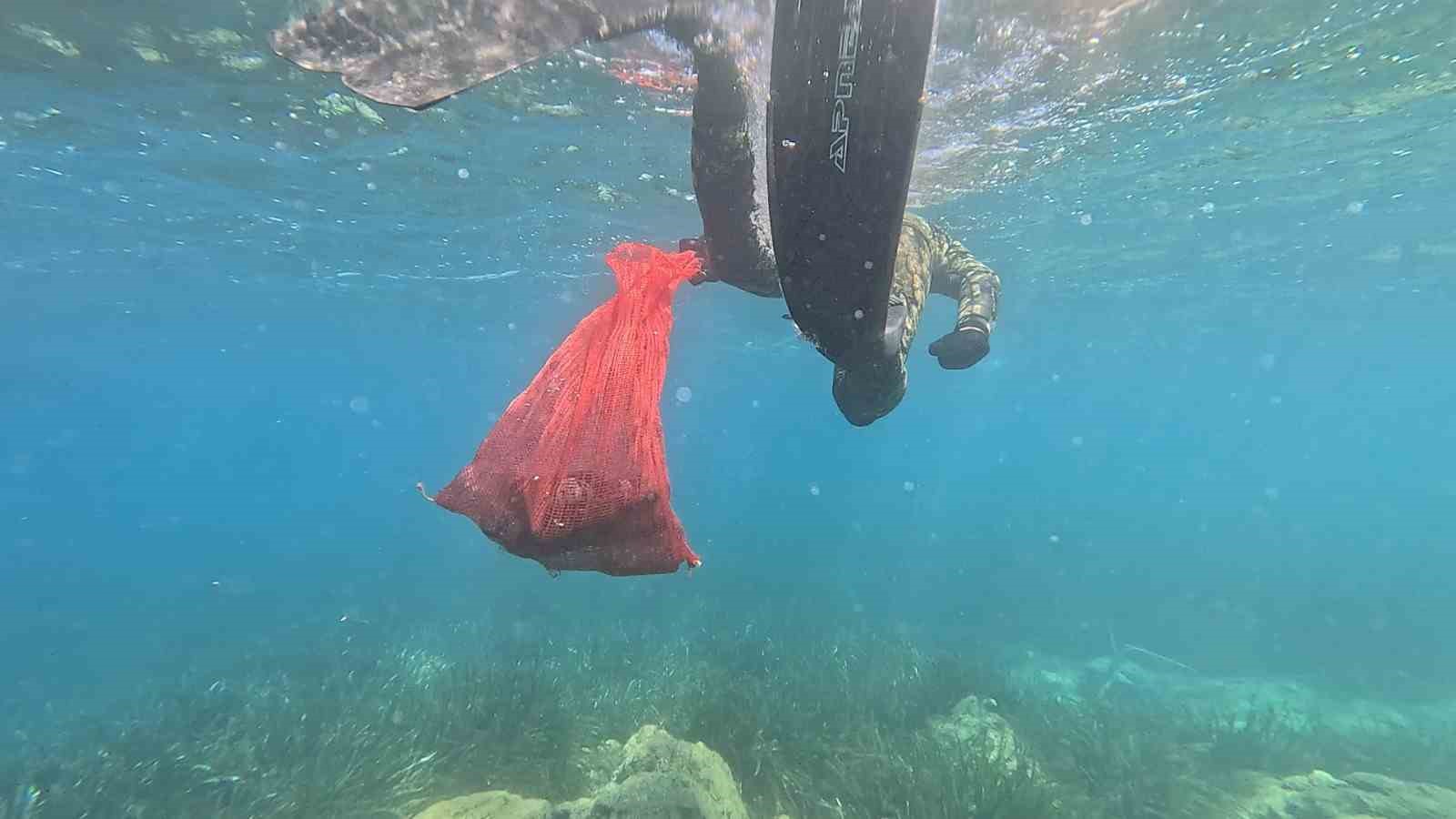 Bodrum Belediyesi tarafından "Denize