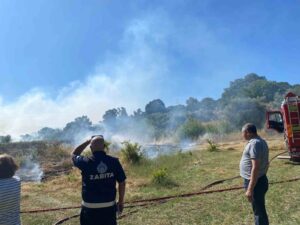 Bodrum’da zirai alan yangını