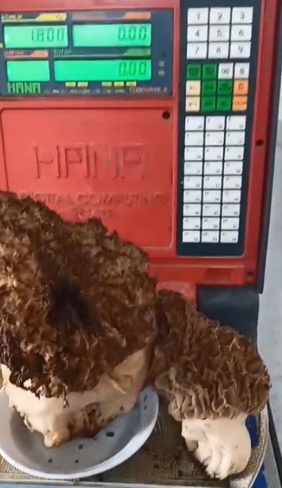 Muğla’nın Menteşe ilçesine bağlı
