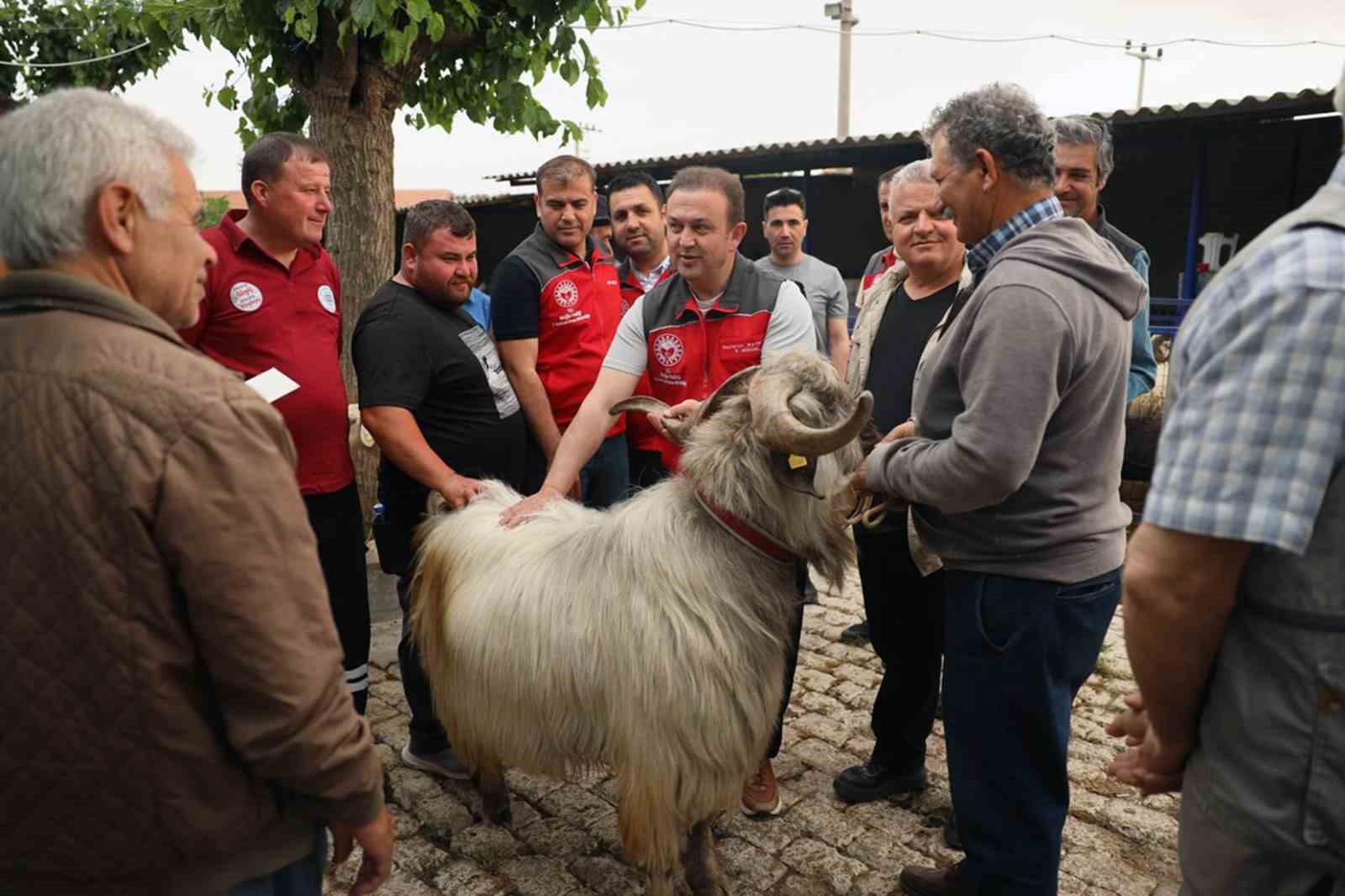 Kurban pazarlarında sağlık ve hijyen kontrolü Yaklaşan Kurban Bayramı öncesi