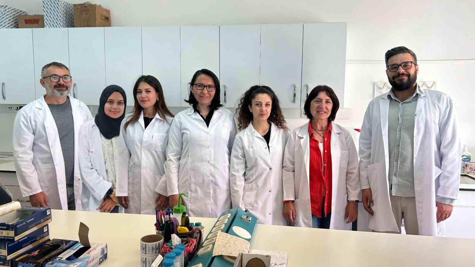 MSKÜ’den bilimsel başarı: ACS Omega kapağında yer aldı MSKÜ öğretim üyeleri Prof.