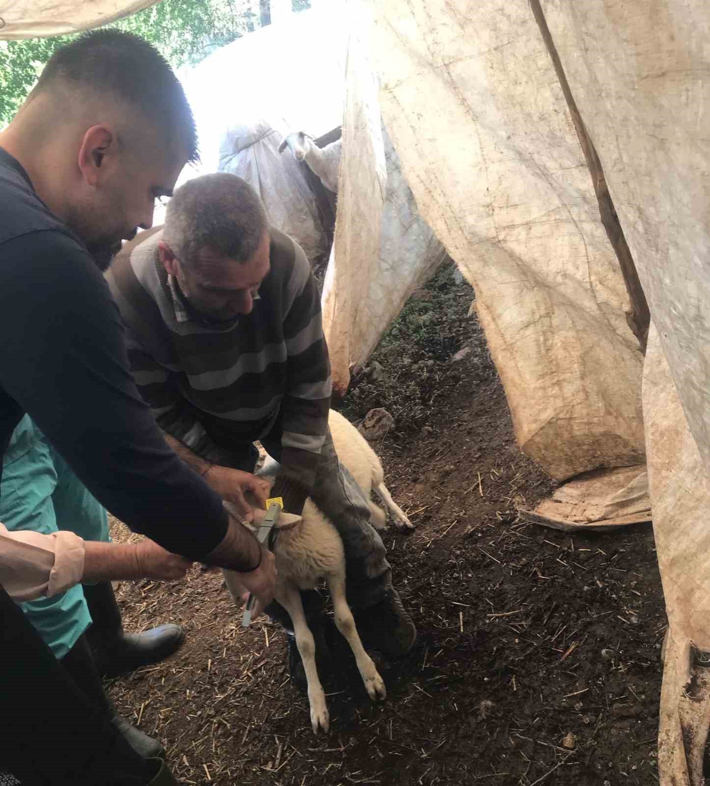 Muğla’nın Ortaca ilçesinde ekipler