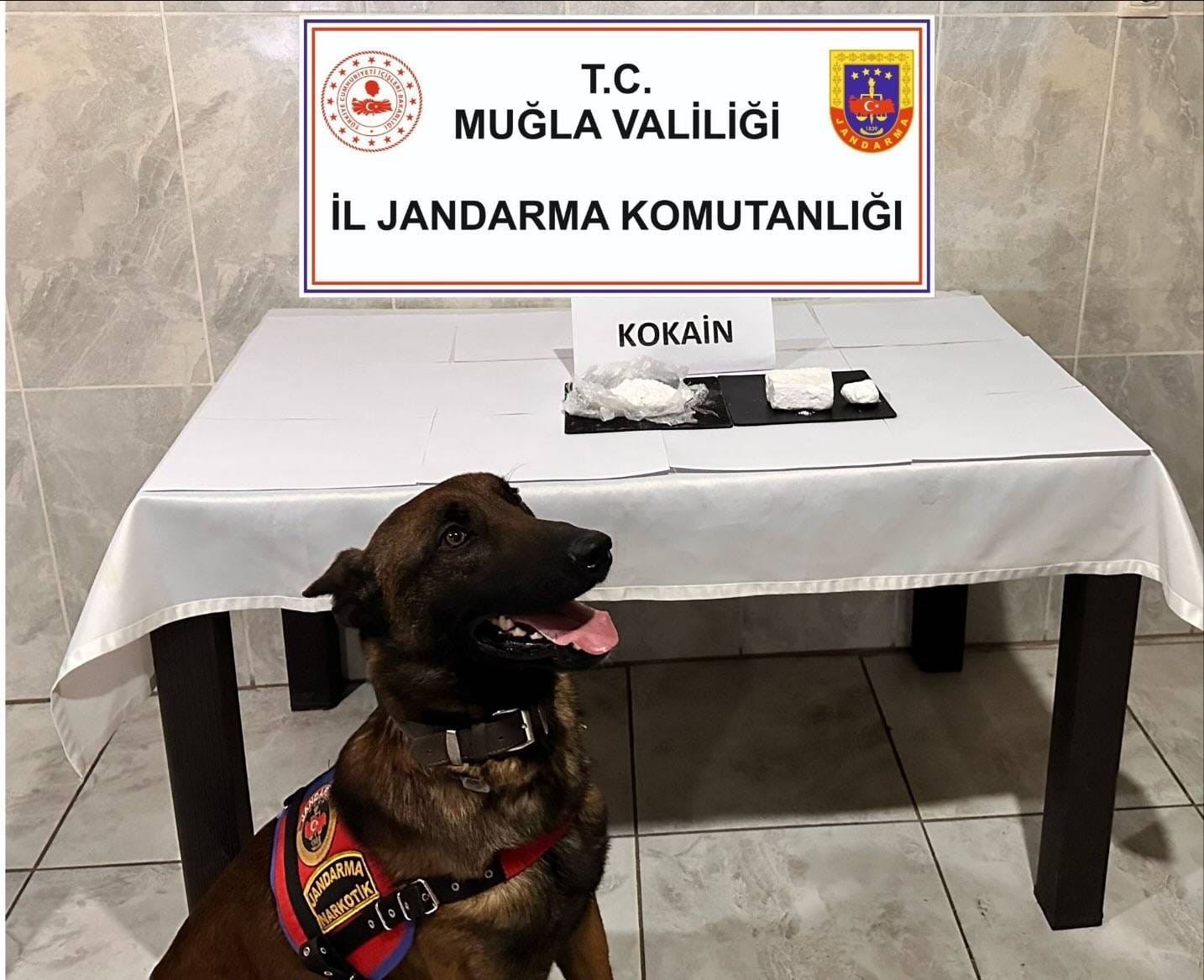 Muğla’nın Yatağan ilçesinde, jandarma