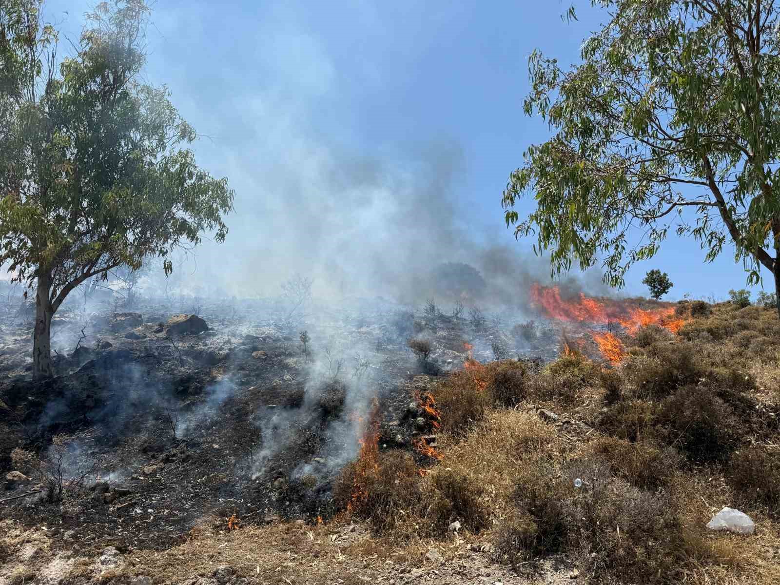 Bodrum Türkbükü’nde makilik yangını Muğla’nın Bodrum ilçesinde makilik
