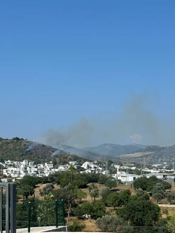 Muğla’nın Bodrum ilçesinde makilik