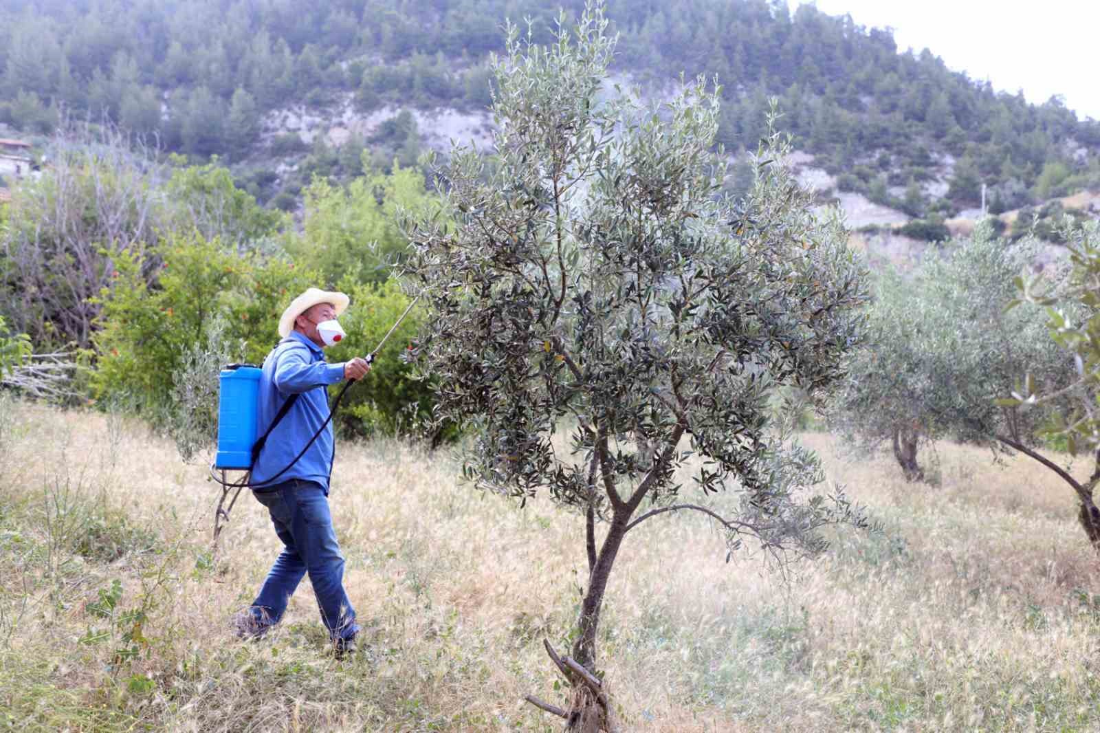 Büyükşehir, dolu felaketinin yaralarını sarıyor Muğla Büyükşehir Belediyesi, Menteşe’nin